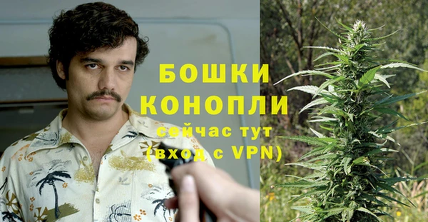PSILOCYBIN Армянск