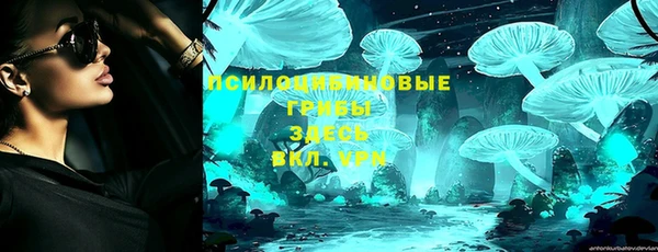 2c-b Алзамай