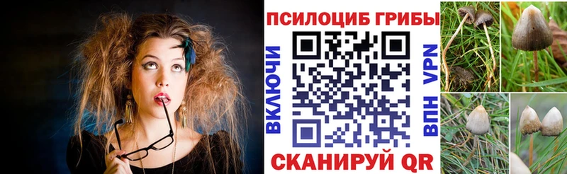 Псилоцибиновые грибы прущие грибы  наркотики  Чебаркуль 